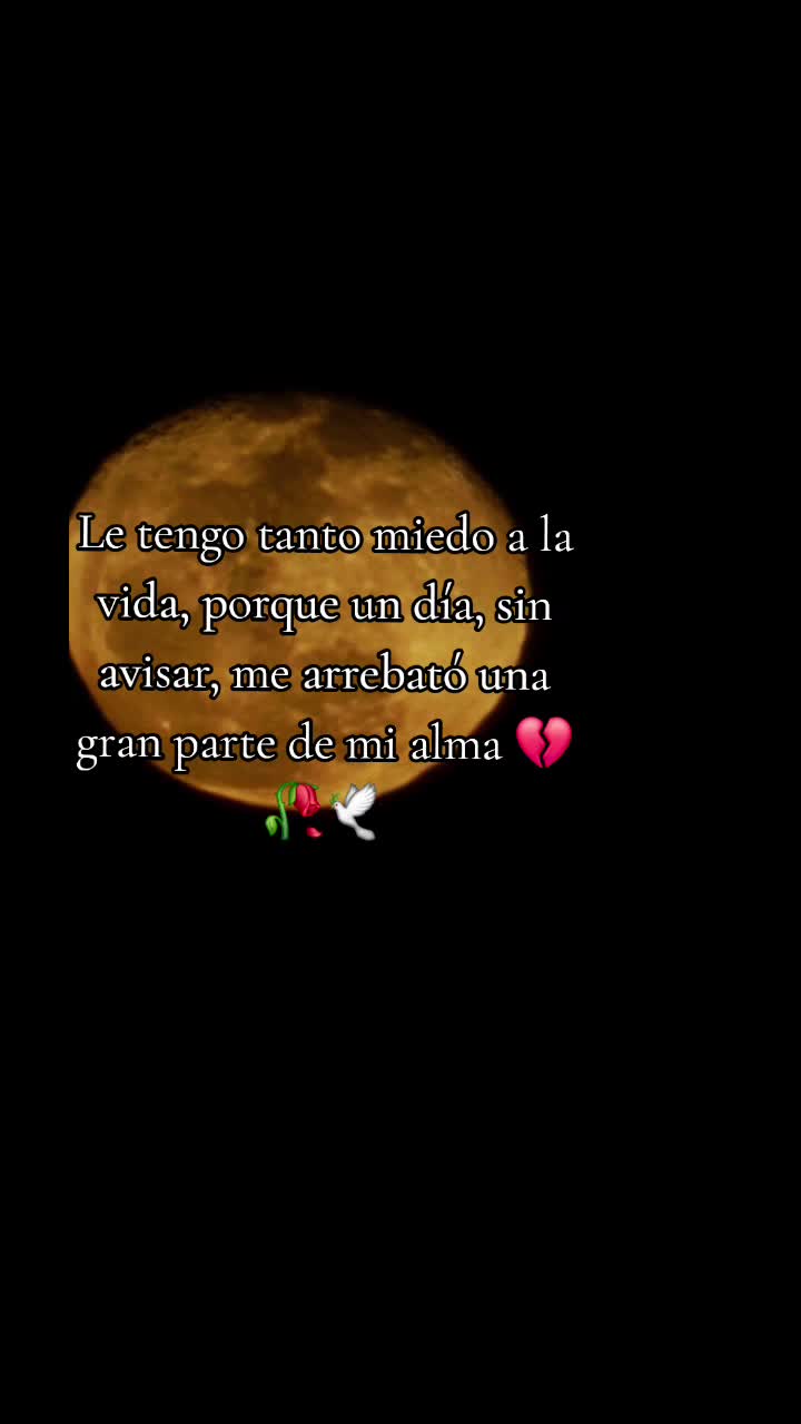 @damarishernandez649