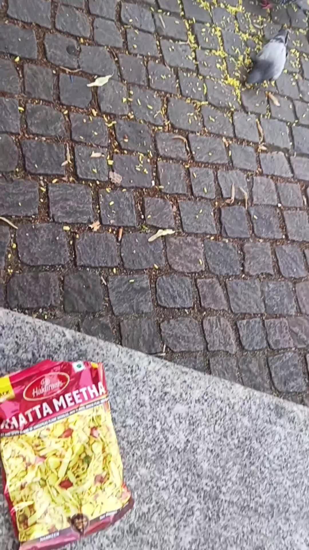 @Meeran Dar 🇮🇹