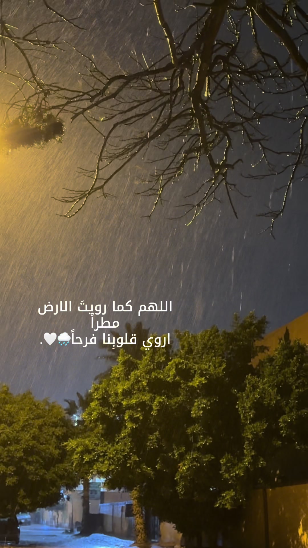 @مامت هومي🤍'