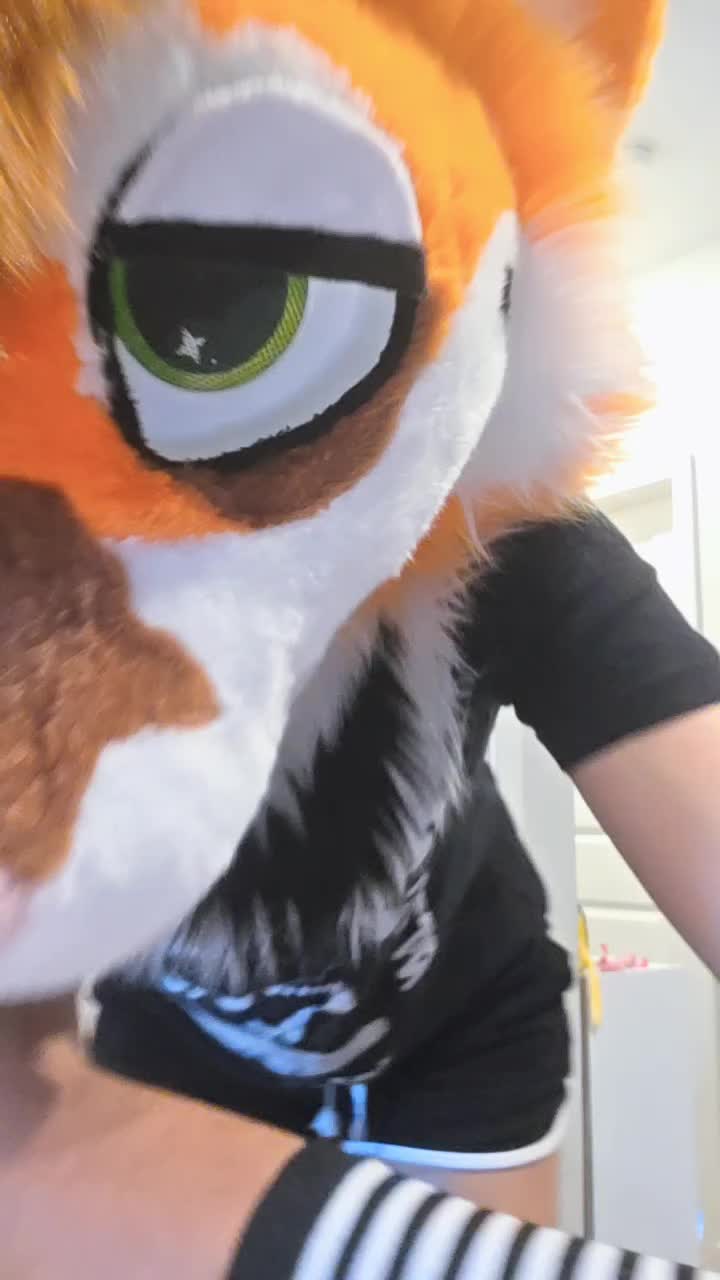 @mutt