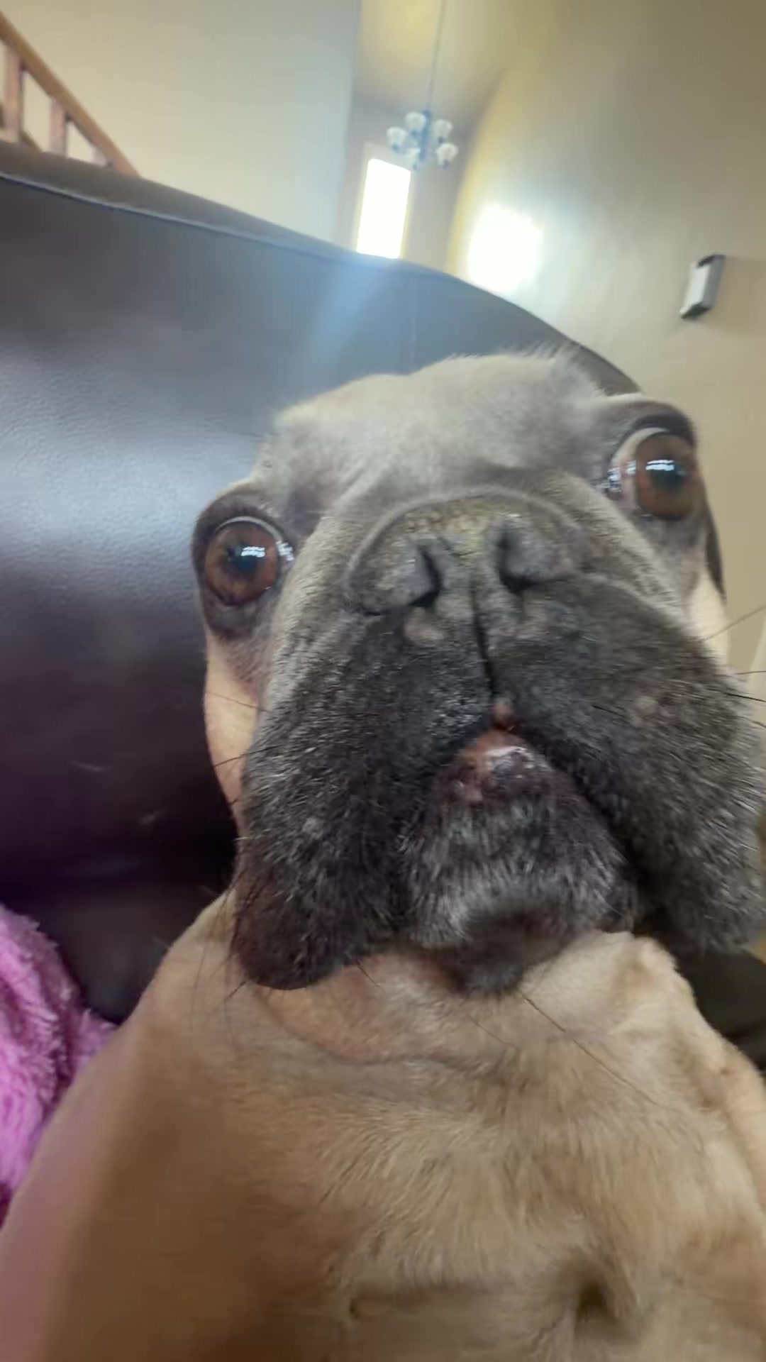 @bentleytheg0at