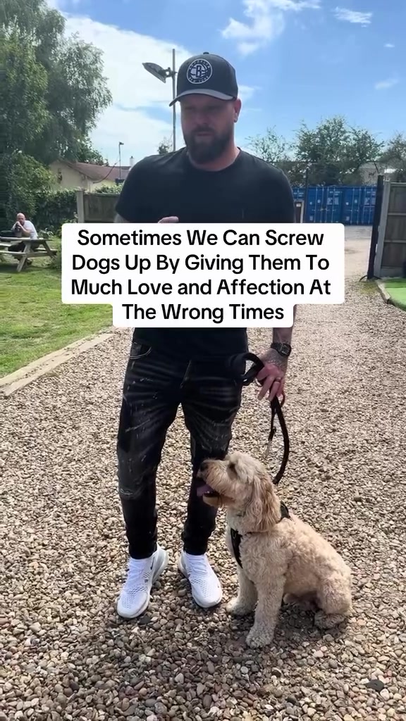@SouthendDogTraining