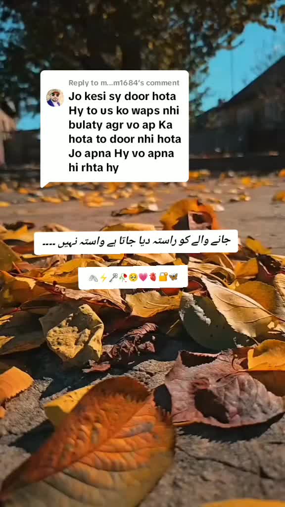 @Amalfairy2