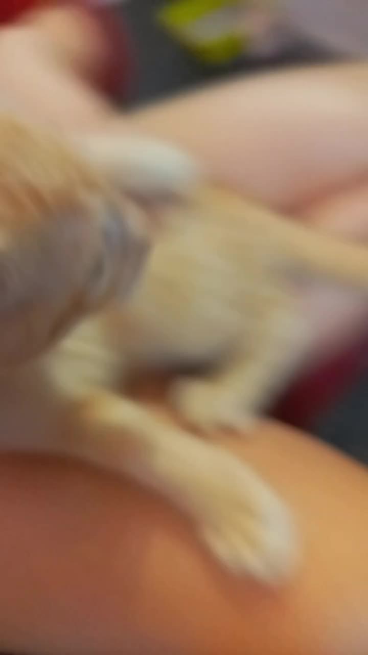 @srgi23_