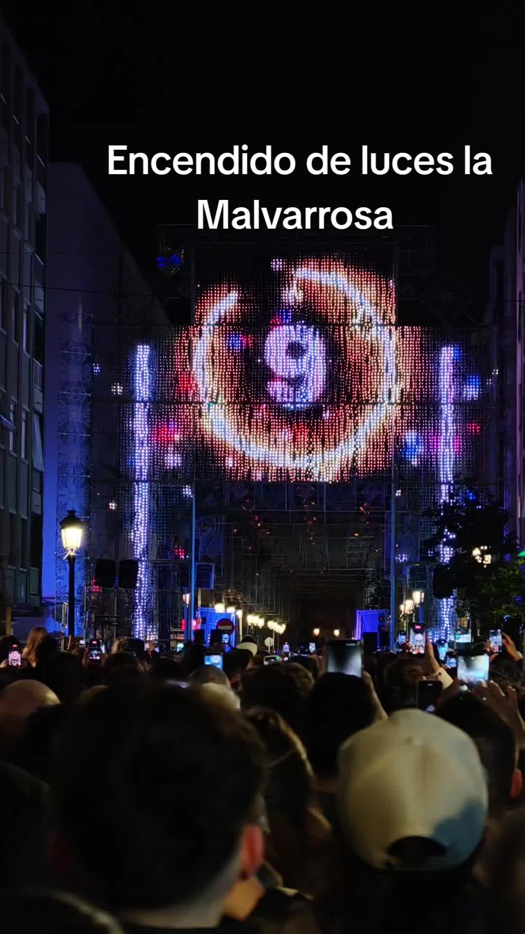 @Julia De Matias