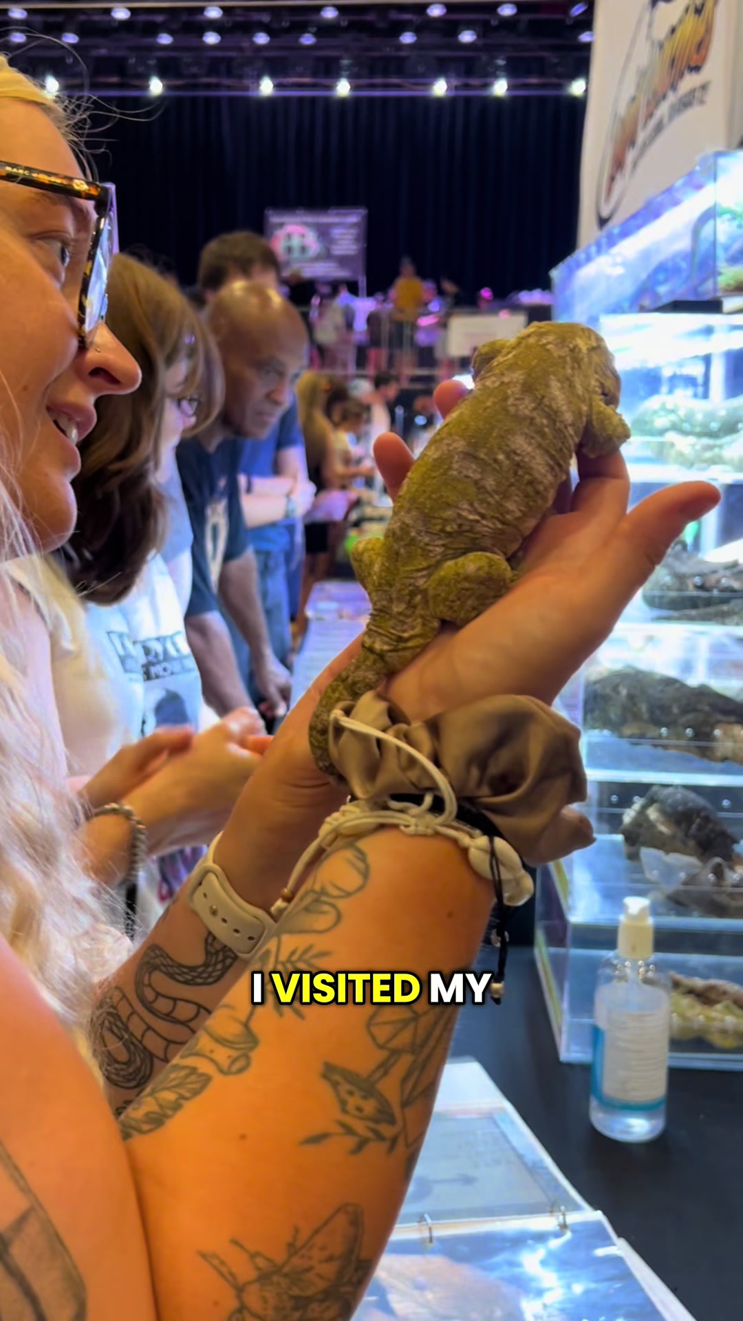 @Reptiles By Post