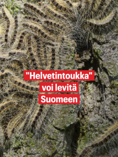 @Ilta-Sanomat