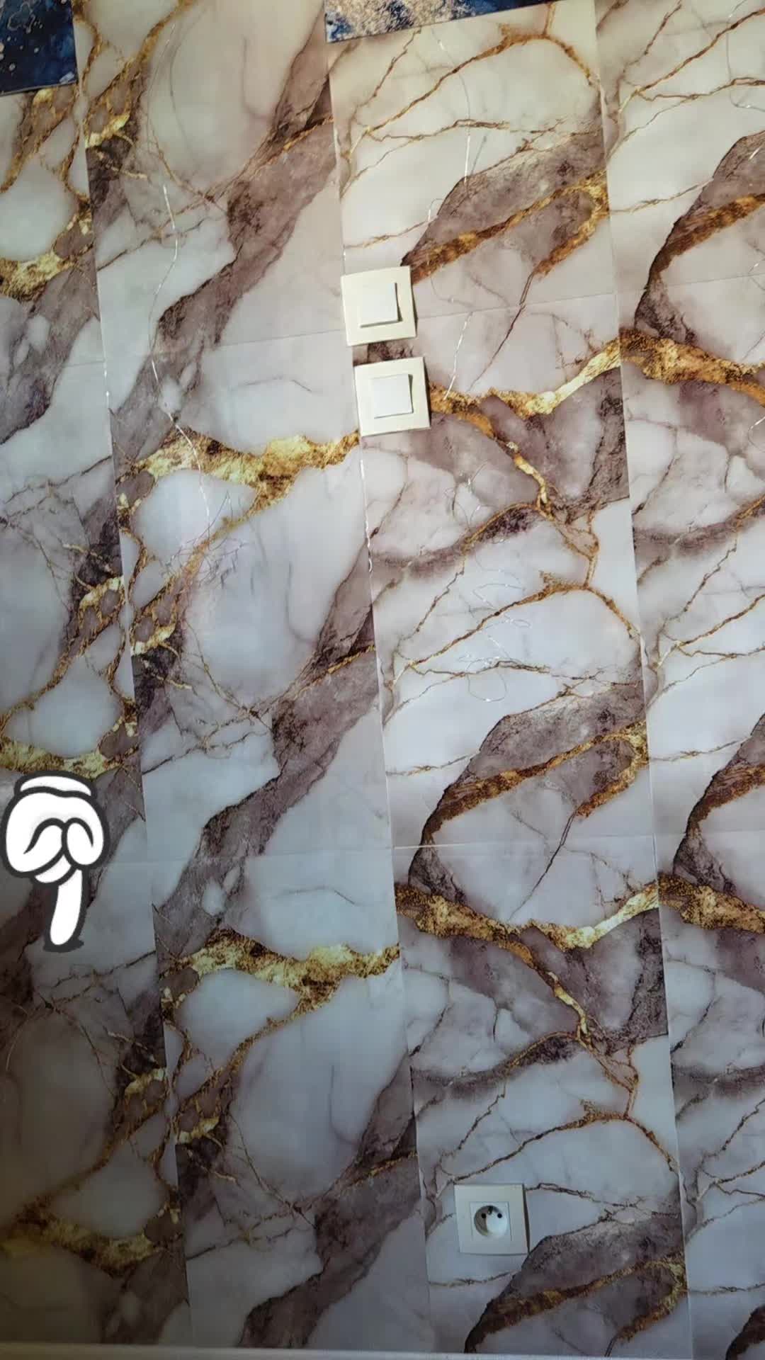 @Amiraqaran 🇸🇴🇩🇯🇨🇵👑