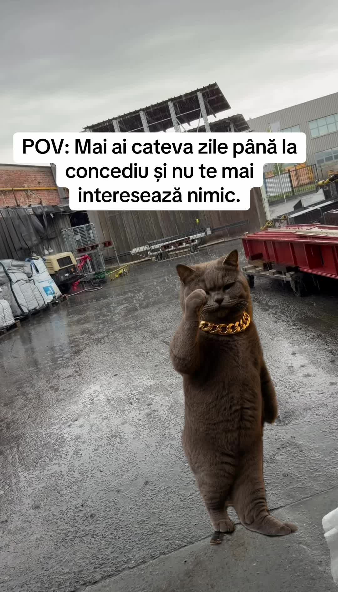 @Razvannn⭐️