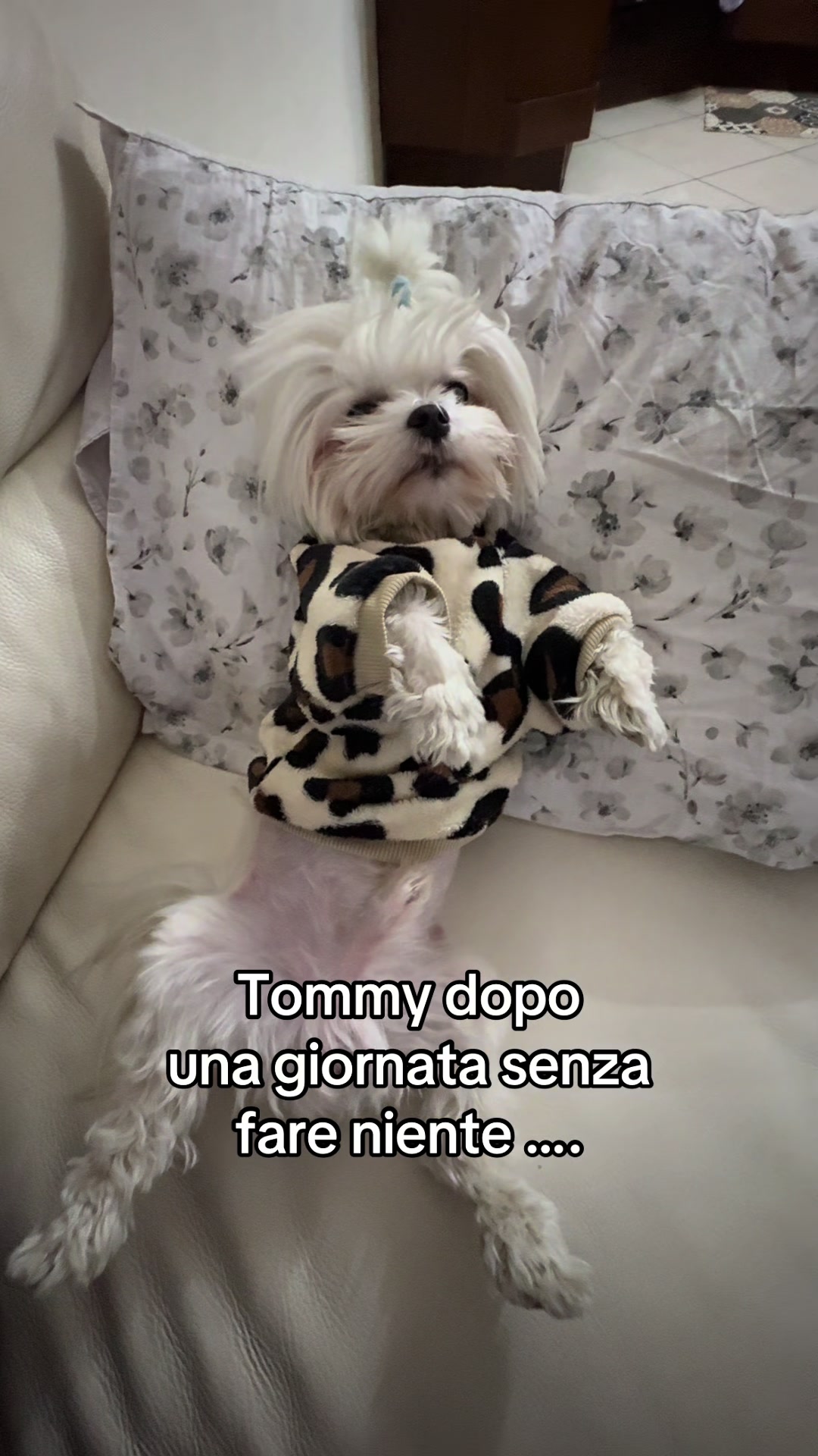@marghegiuliaofficial