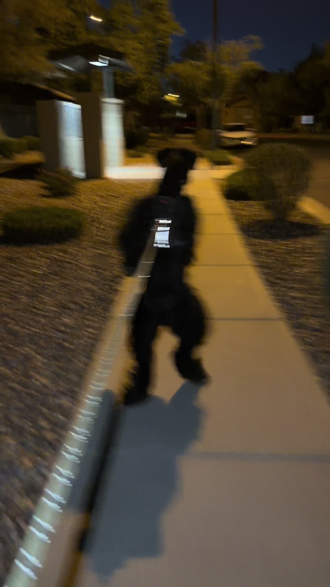 @Fiona Walks