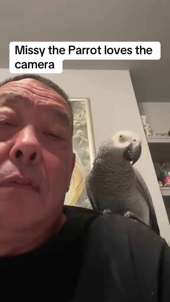 @Norman and Missy the Parrot