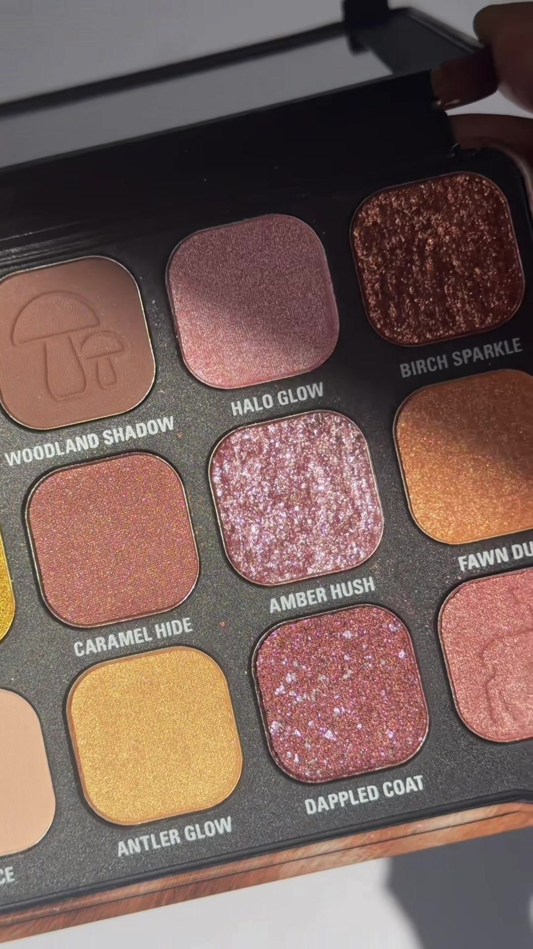 @Makeup Revolution