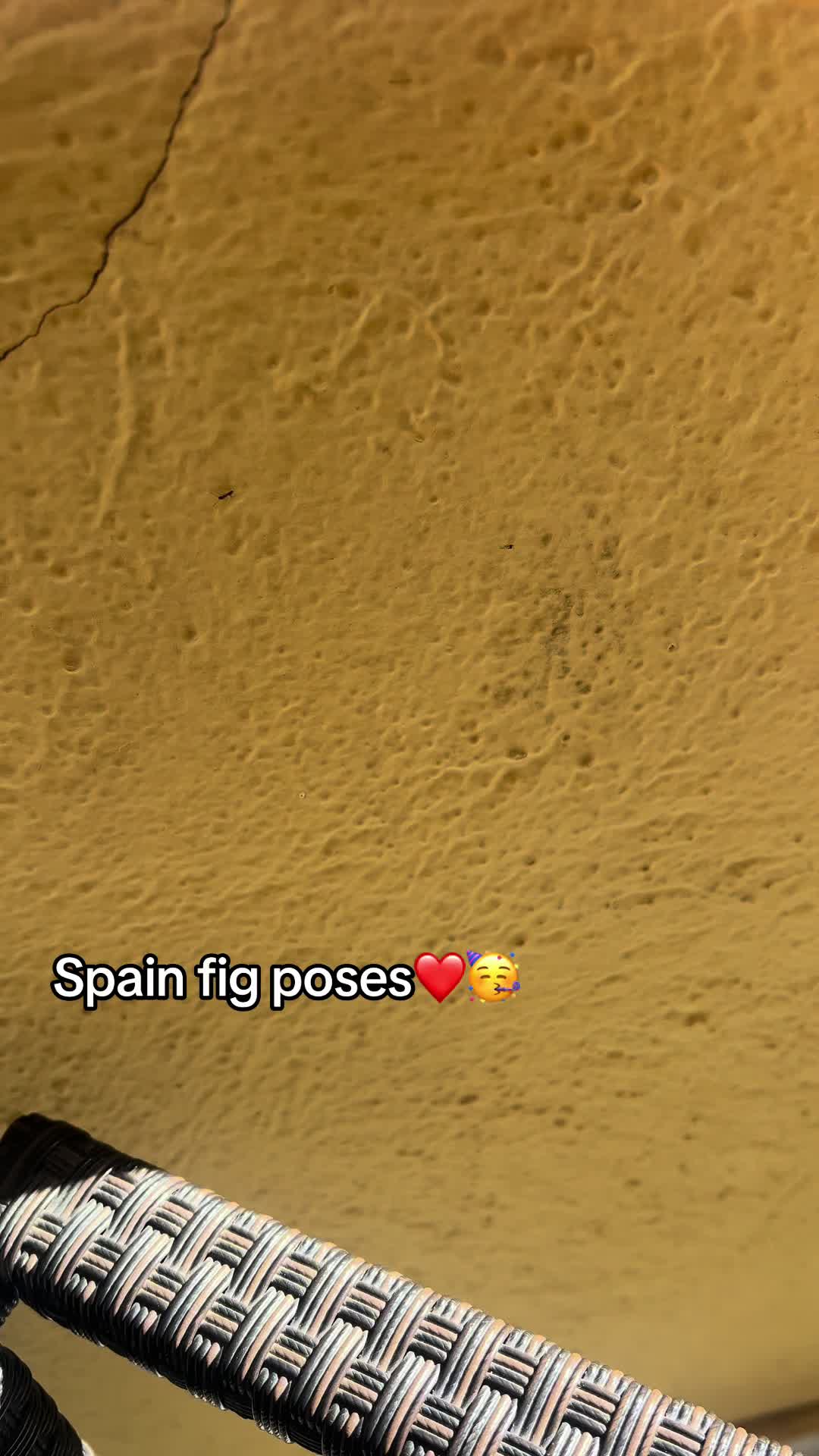 @Soee?🌀🧬