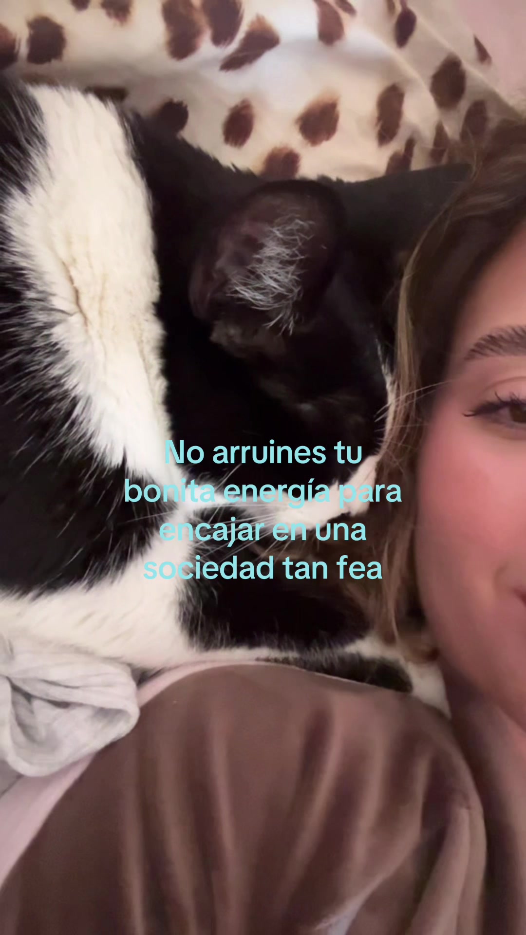 @carlotabounce