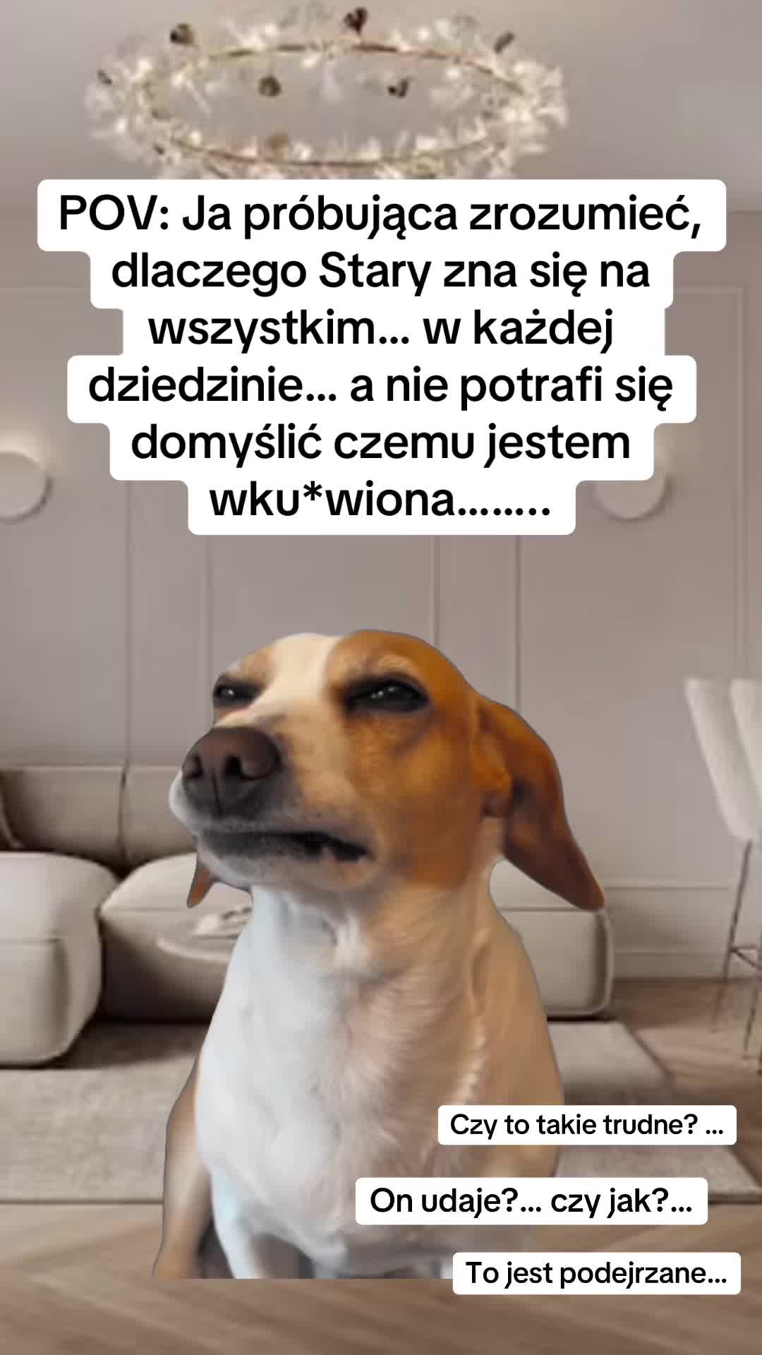 @Karo_hi