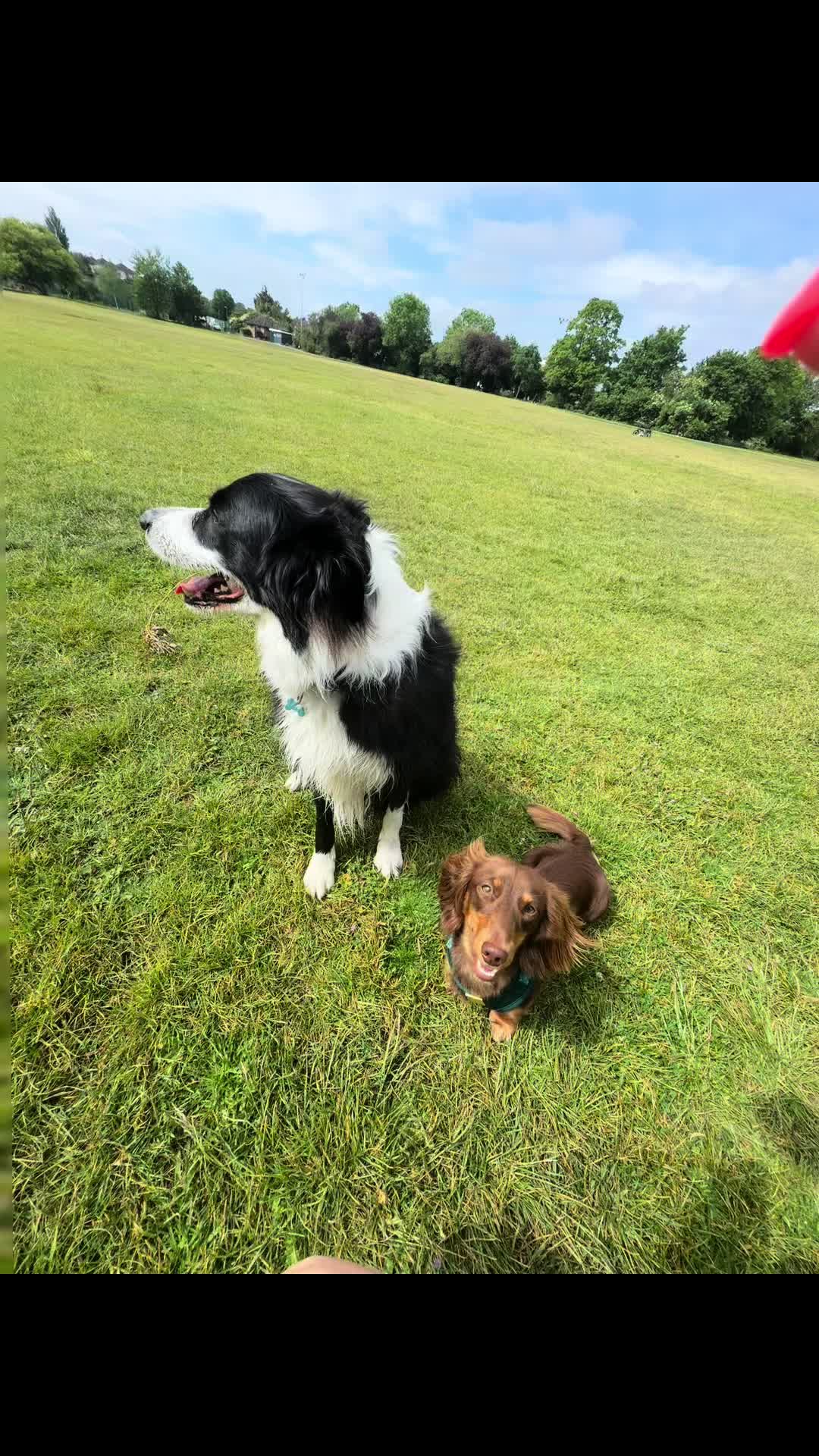 @tswoofwoof.co.uk