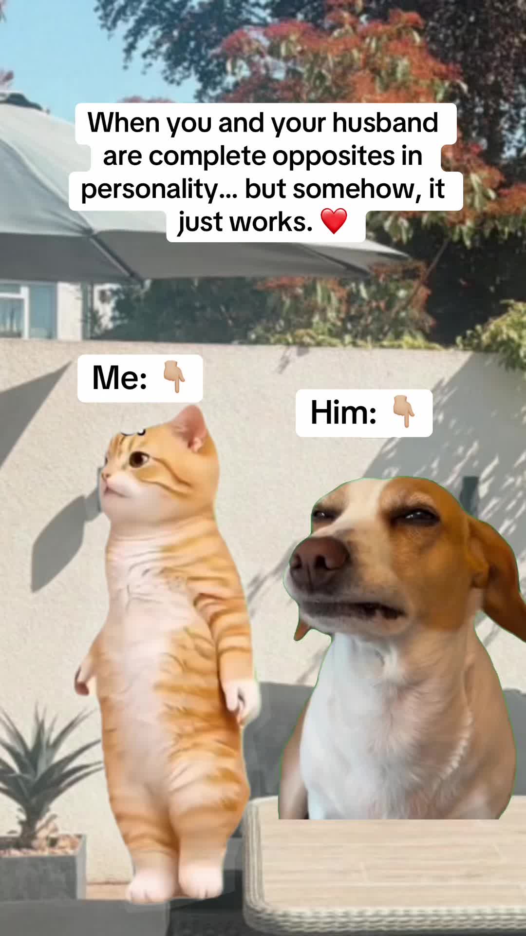 @it’s Me