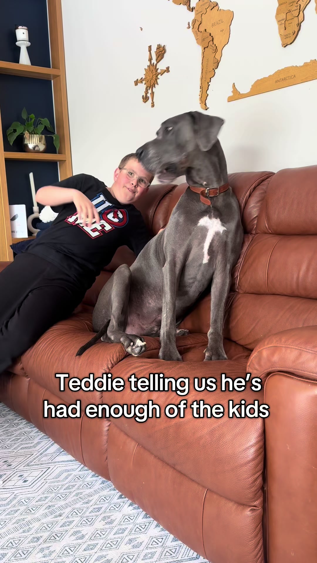 @Teddie