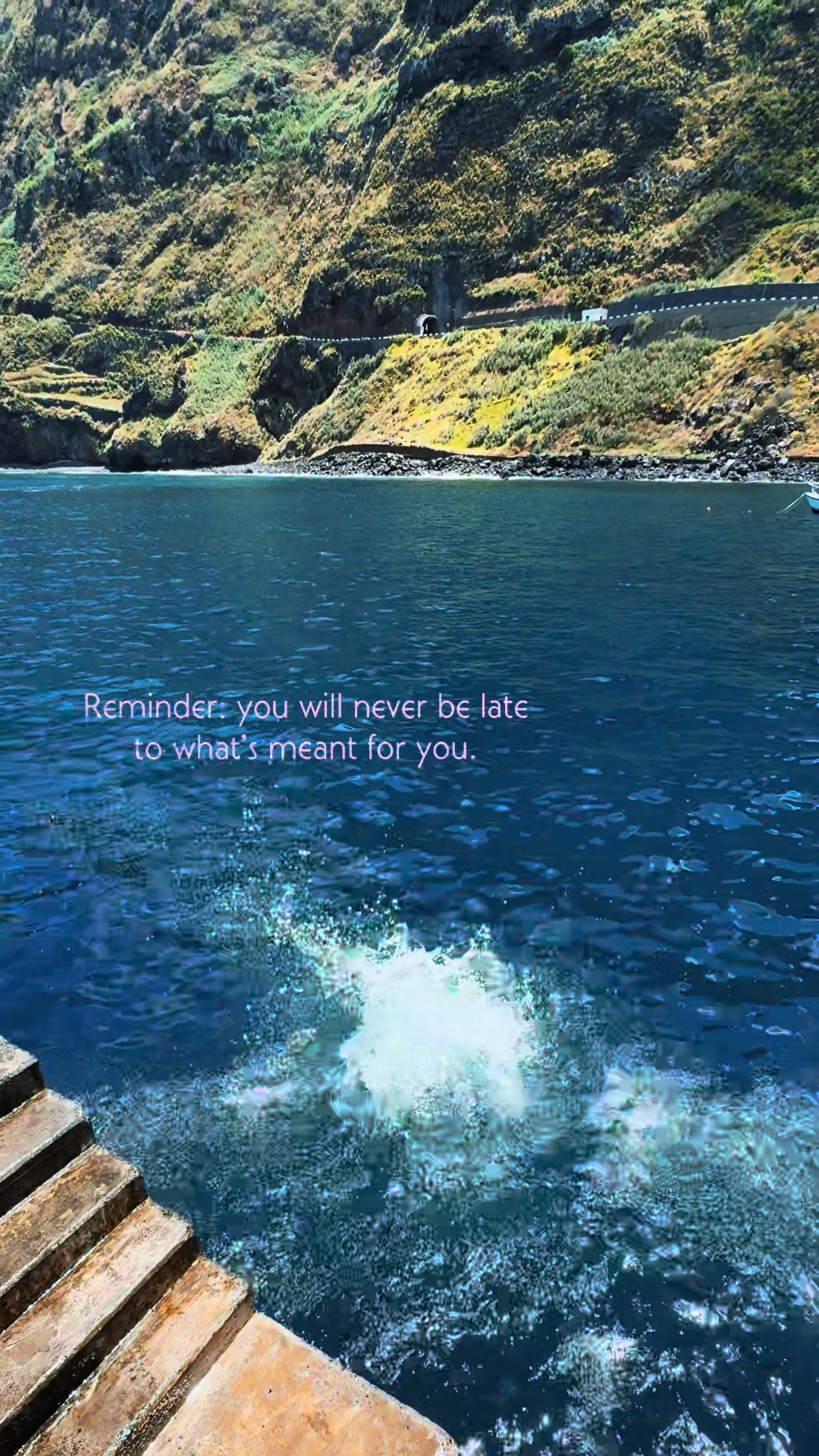 @newbie.travels