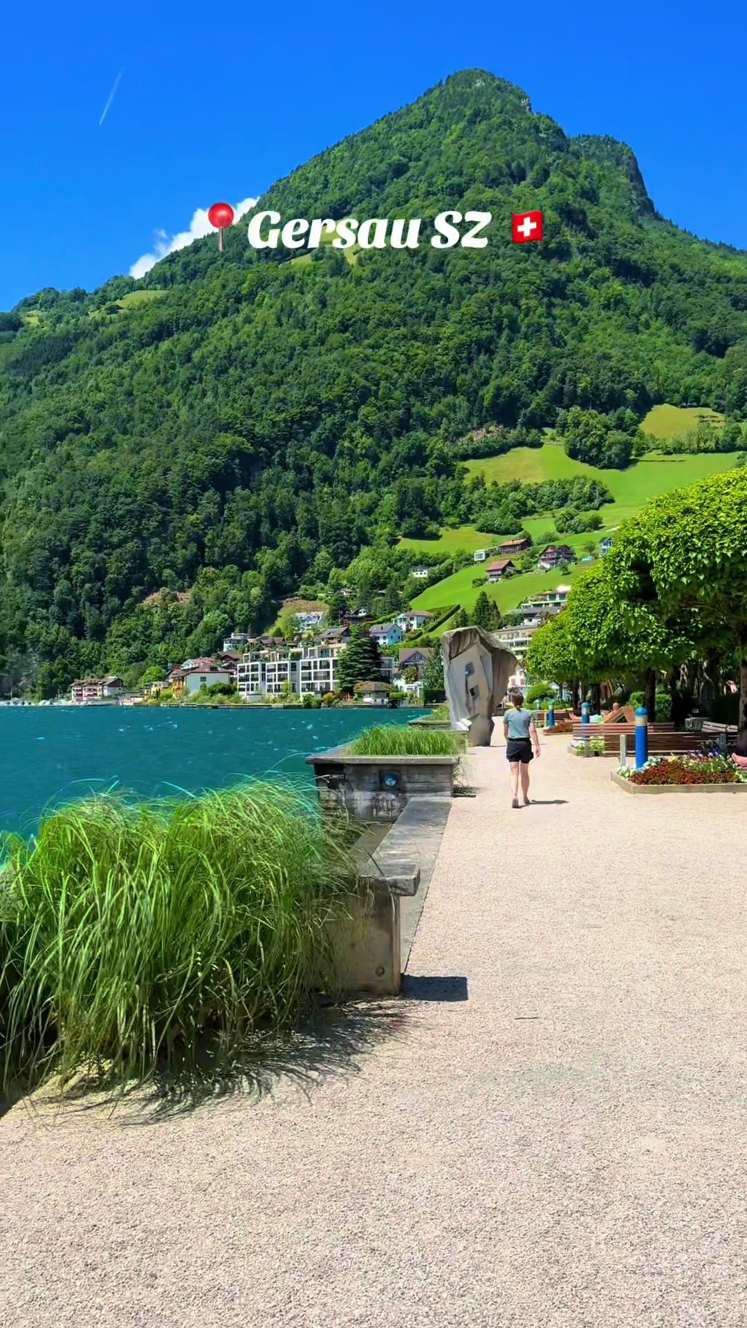 @swiss_alps