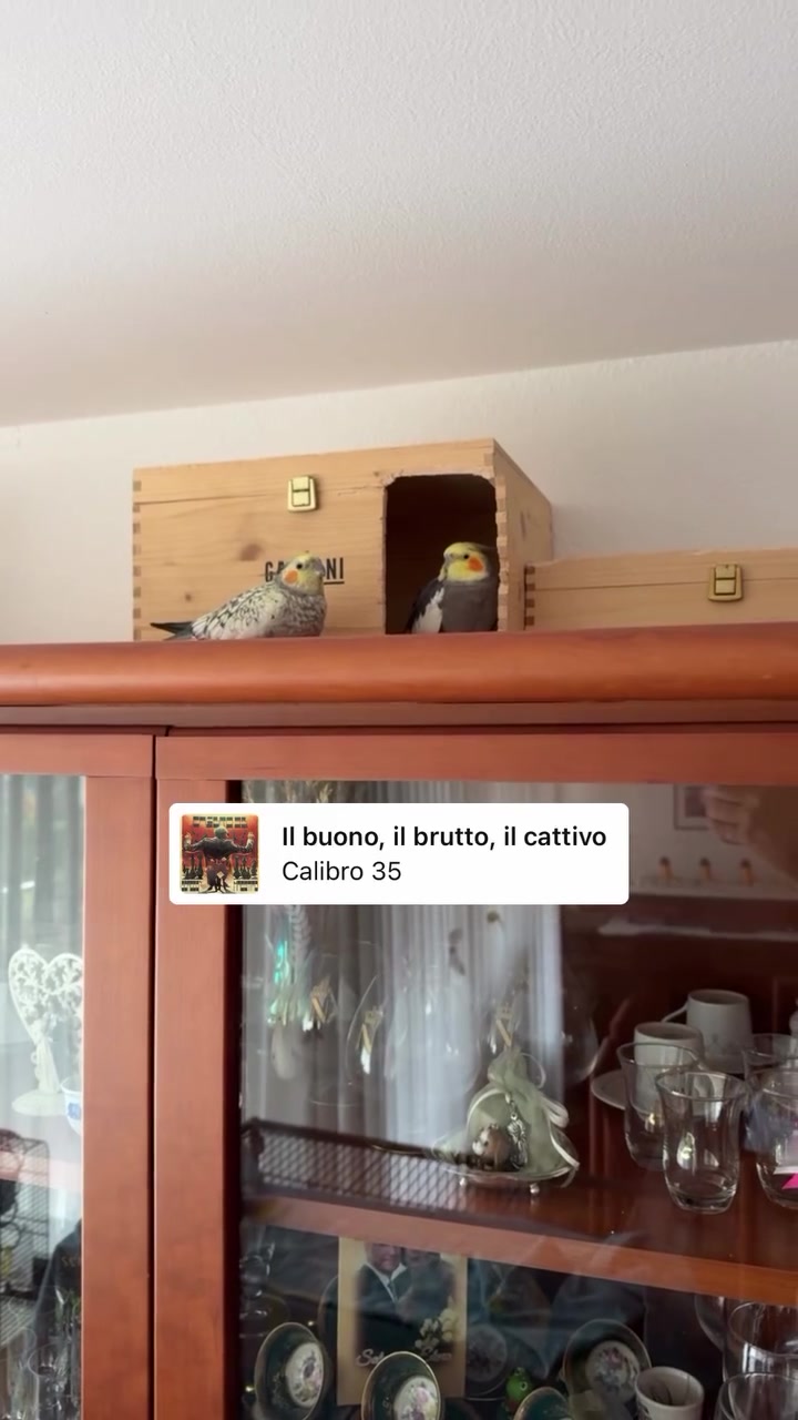 @Emanuele Cammarata