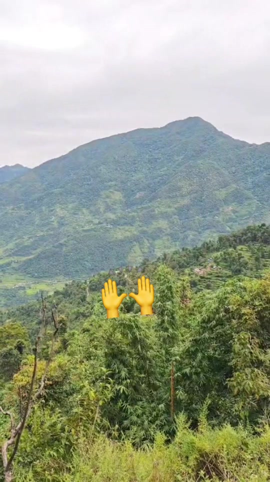 @numalimbu💞