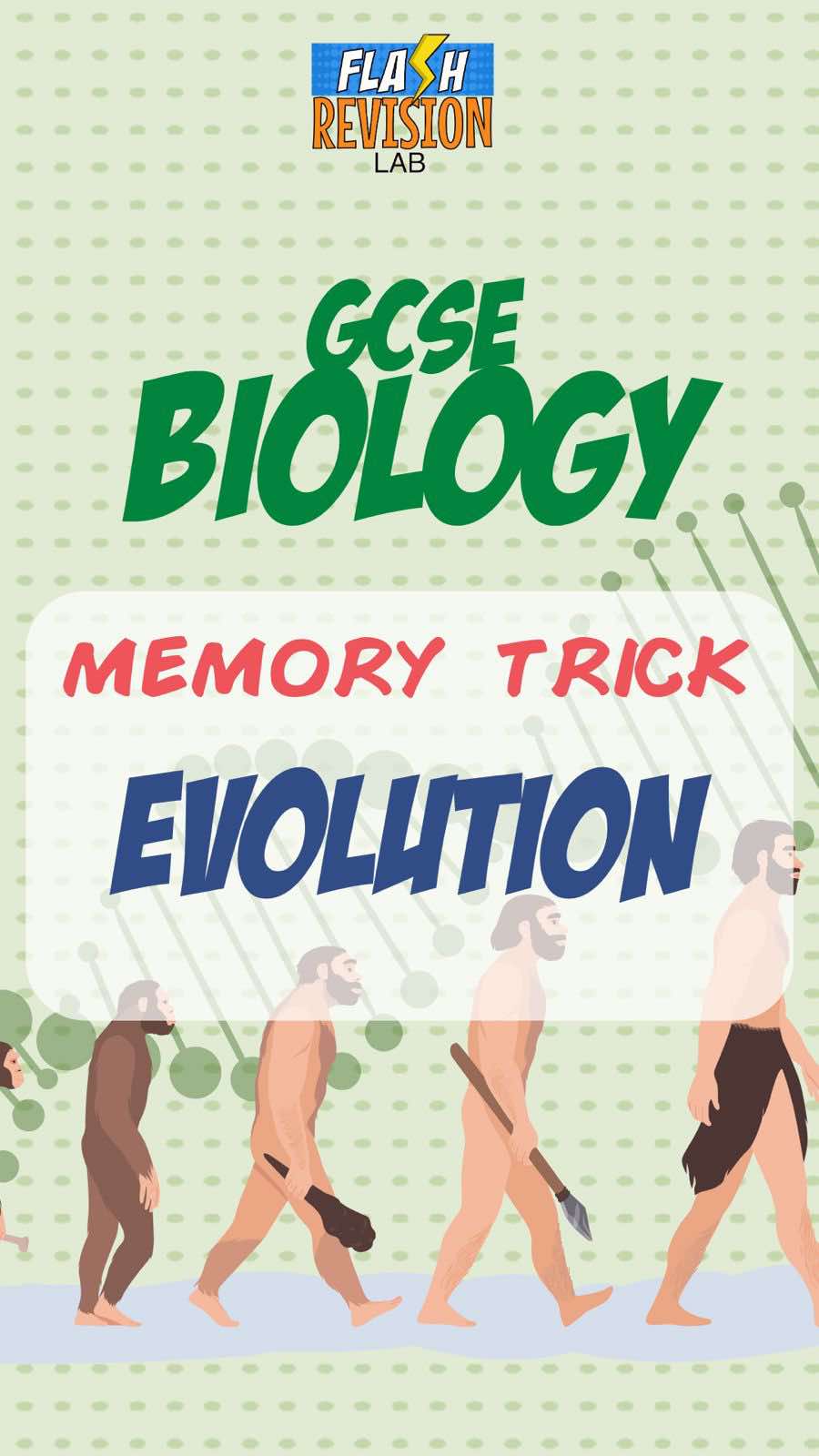 @FlashRevisionLab