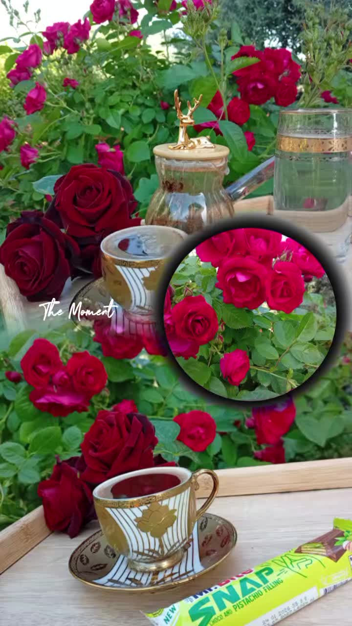 @أثًر  ادلبـﮧَِ💚ۦـية