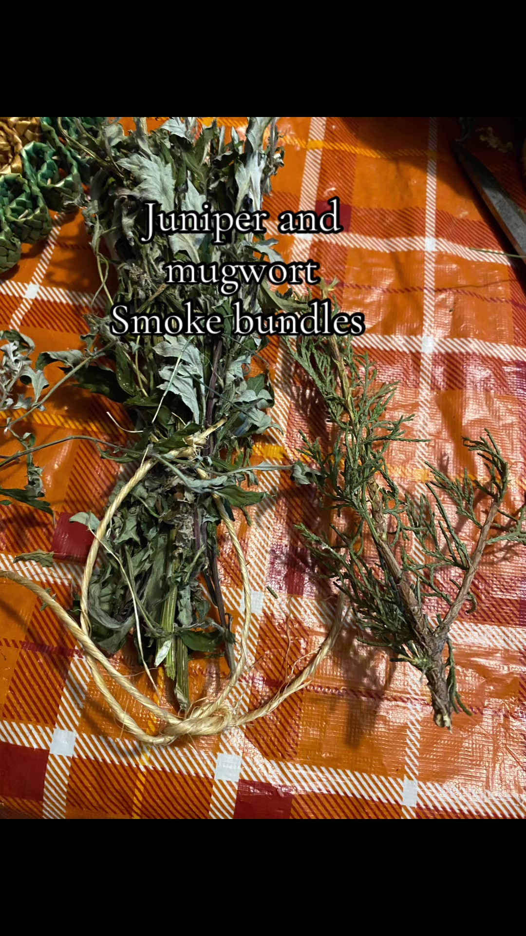 @WitchofWyrd🍁🇨🇦