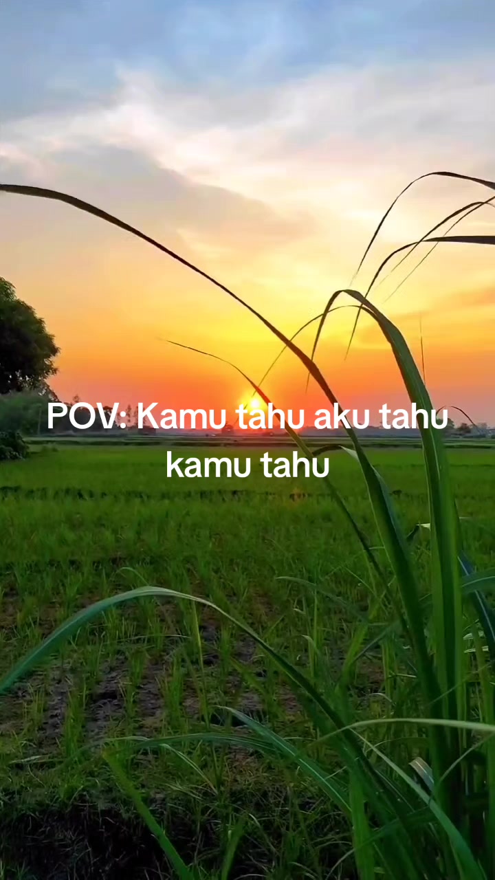 @sayektii