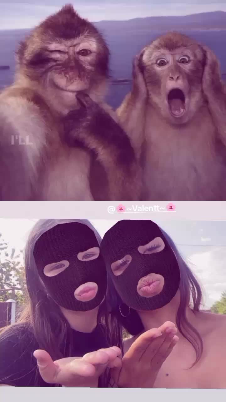 @🖤Zselyk:(