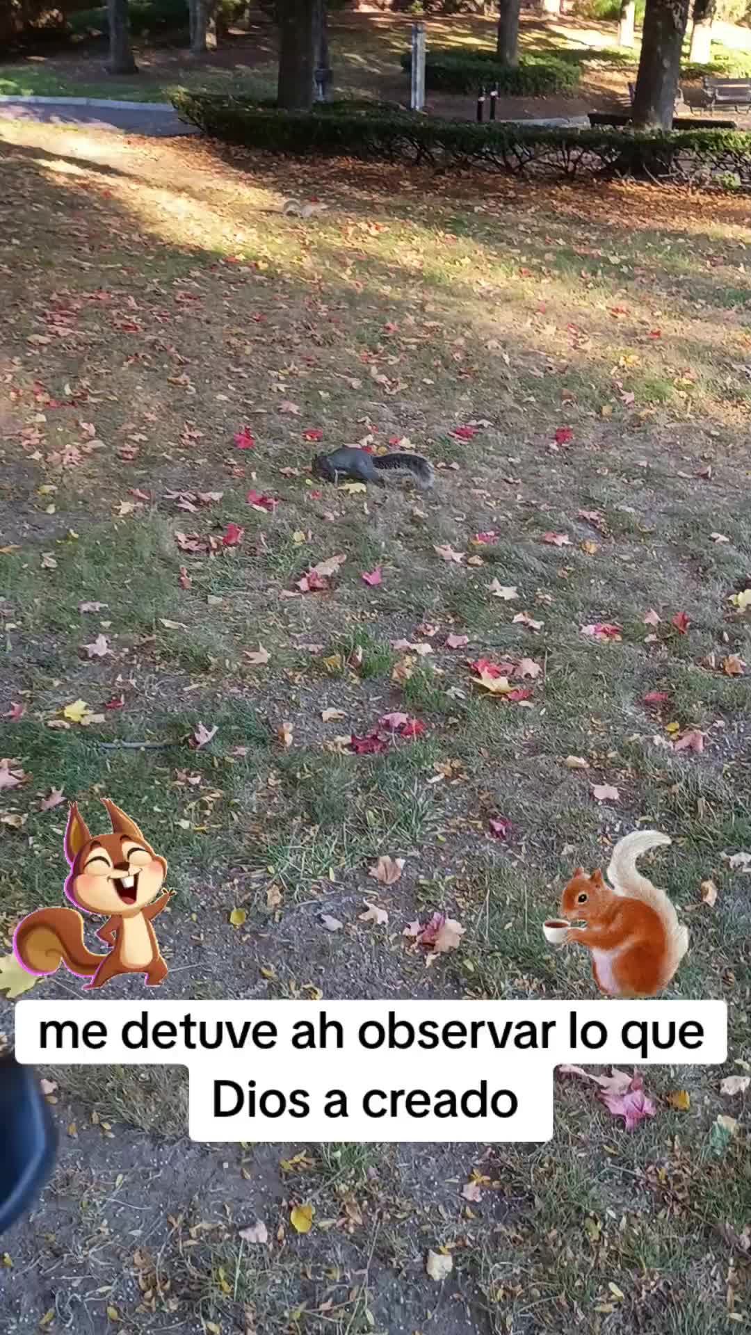 @principejuan