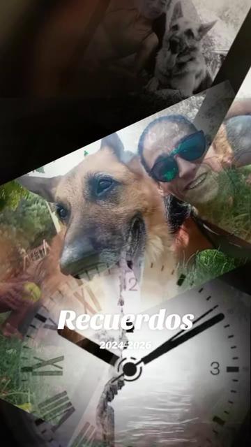 @🧚🧚Campanilla🧚🧚