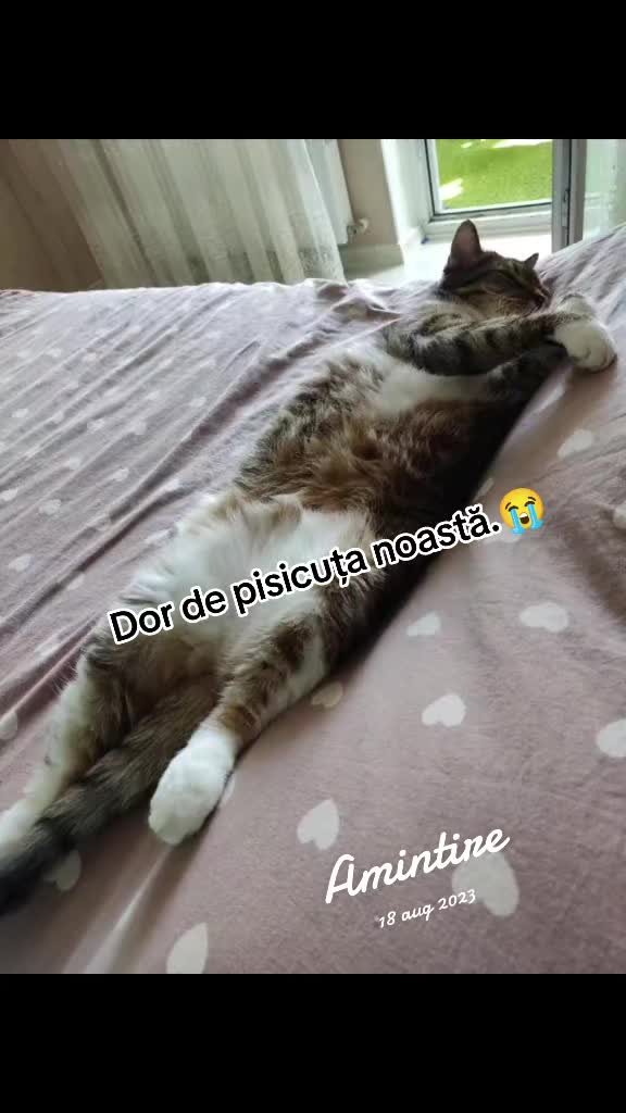 @Liuda