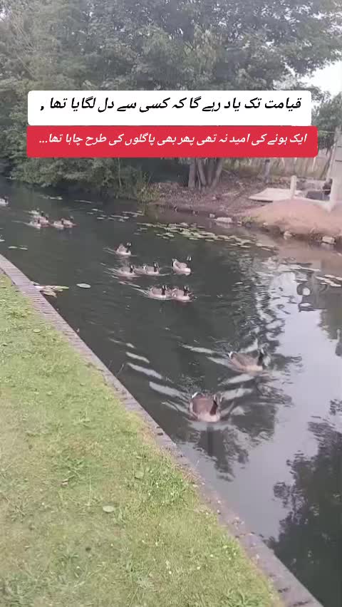 @KΛƧΣΣM.PƬI