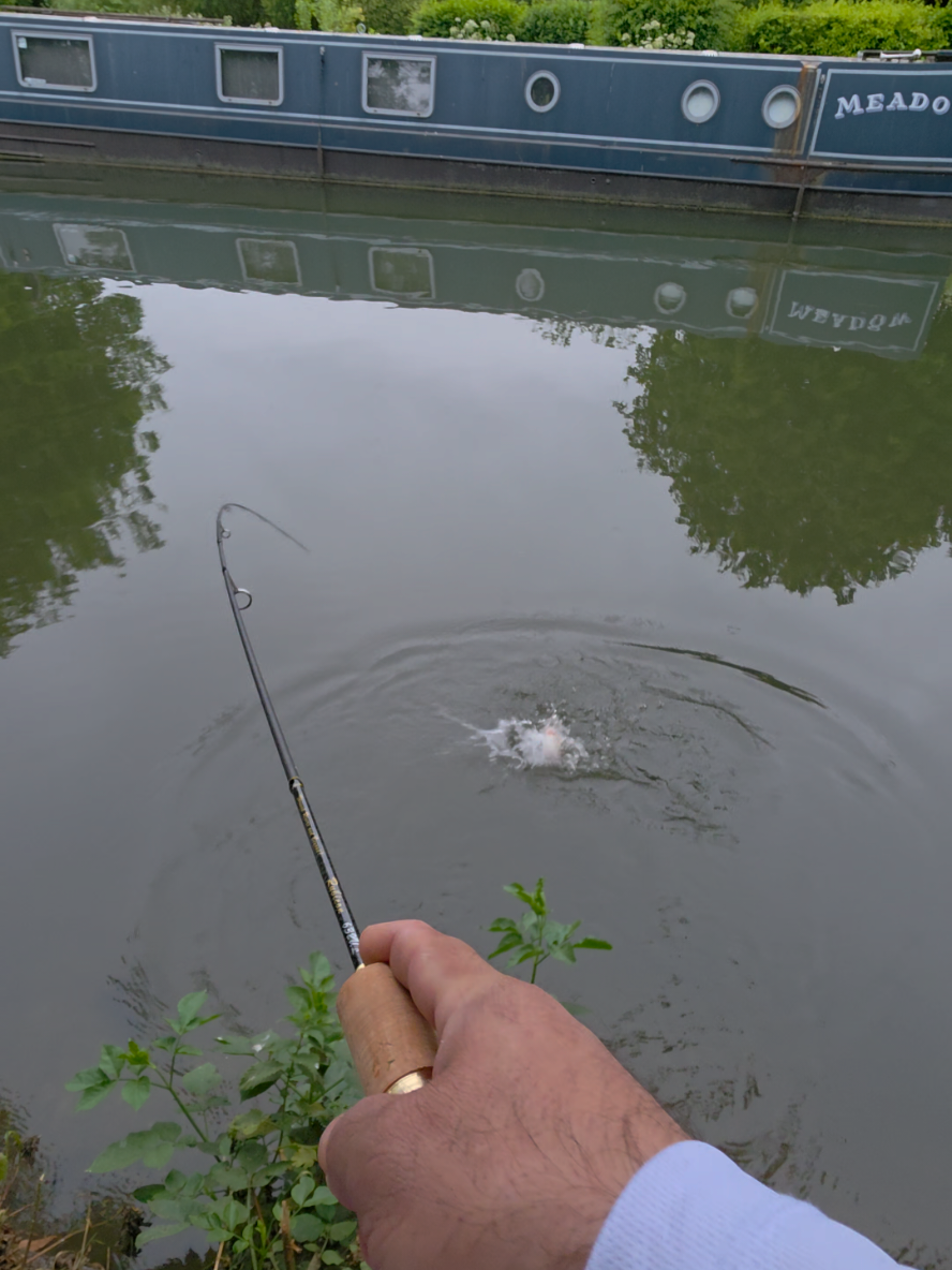 @BF Angler