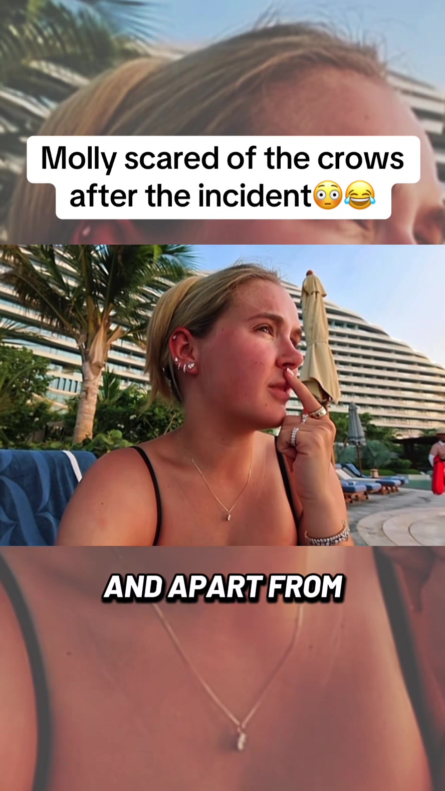 @dailyclipz