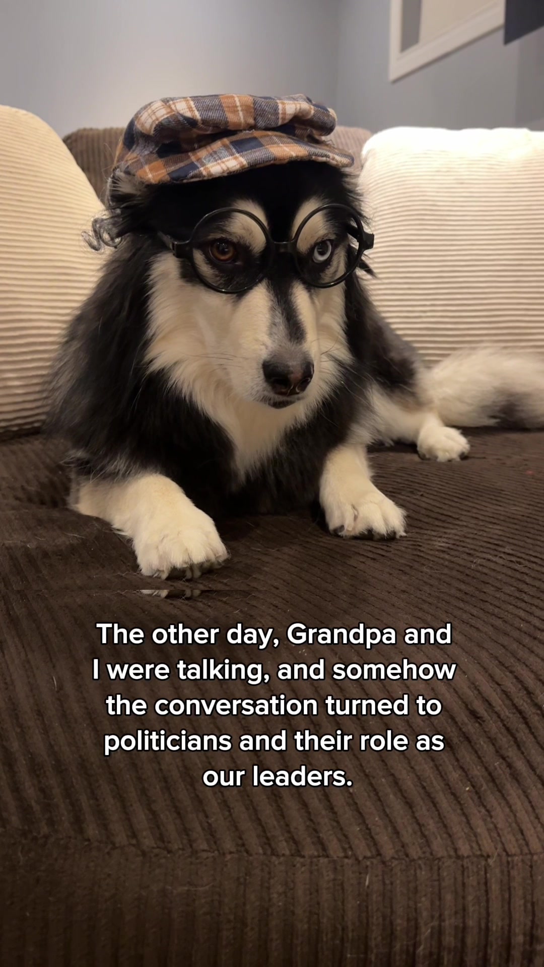 @Zeus the Pomsky🐾