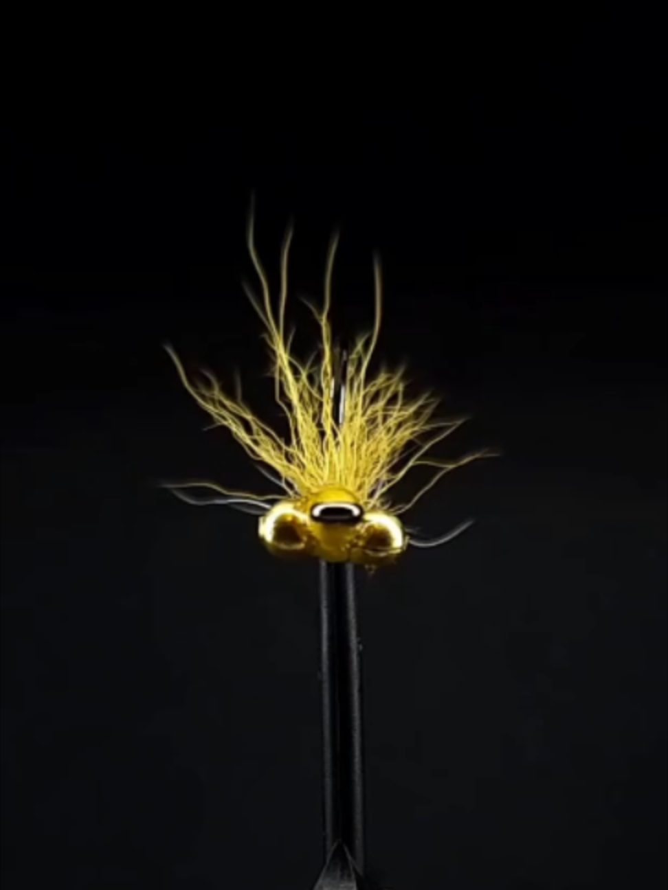 @veevusFishing