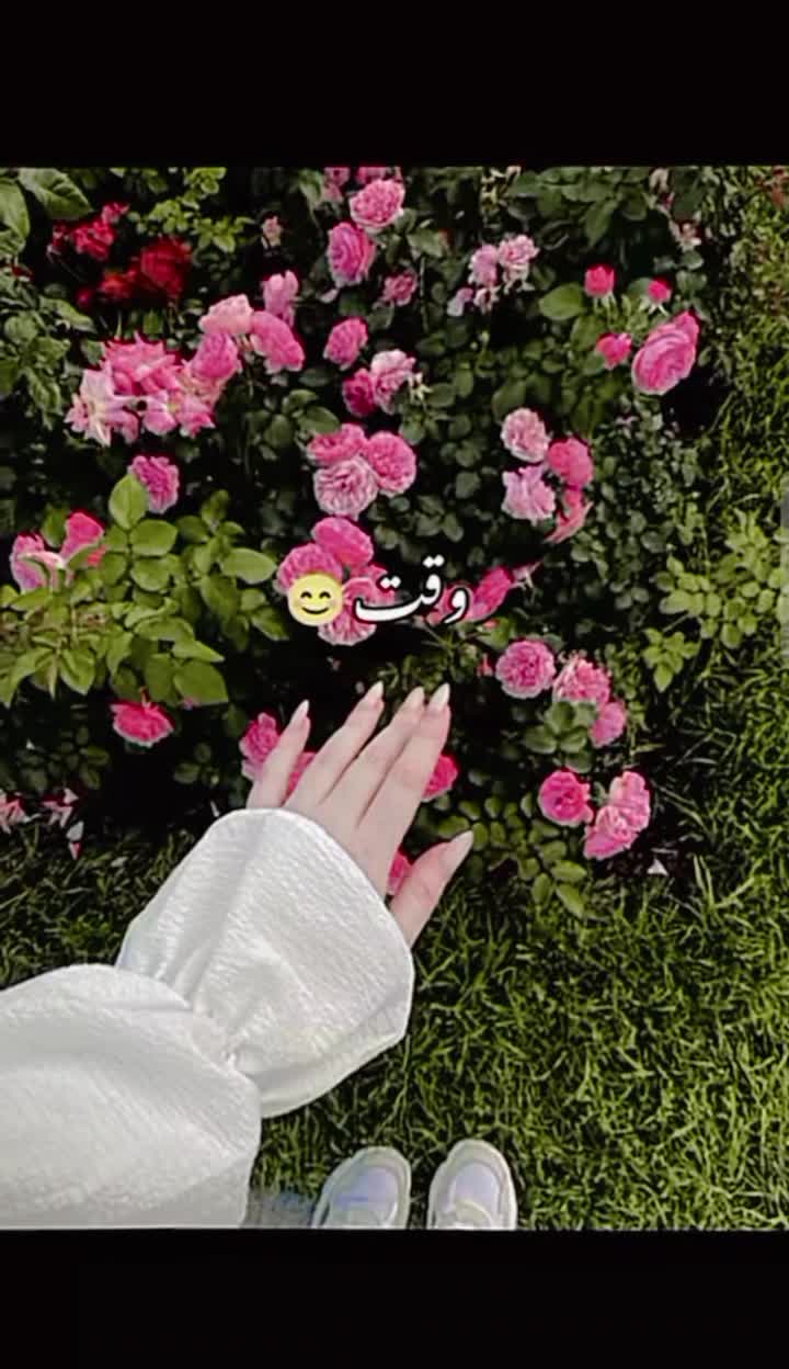 @❥♕⋆𝐙.𝐇⋆♛♒︎