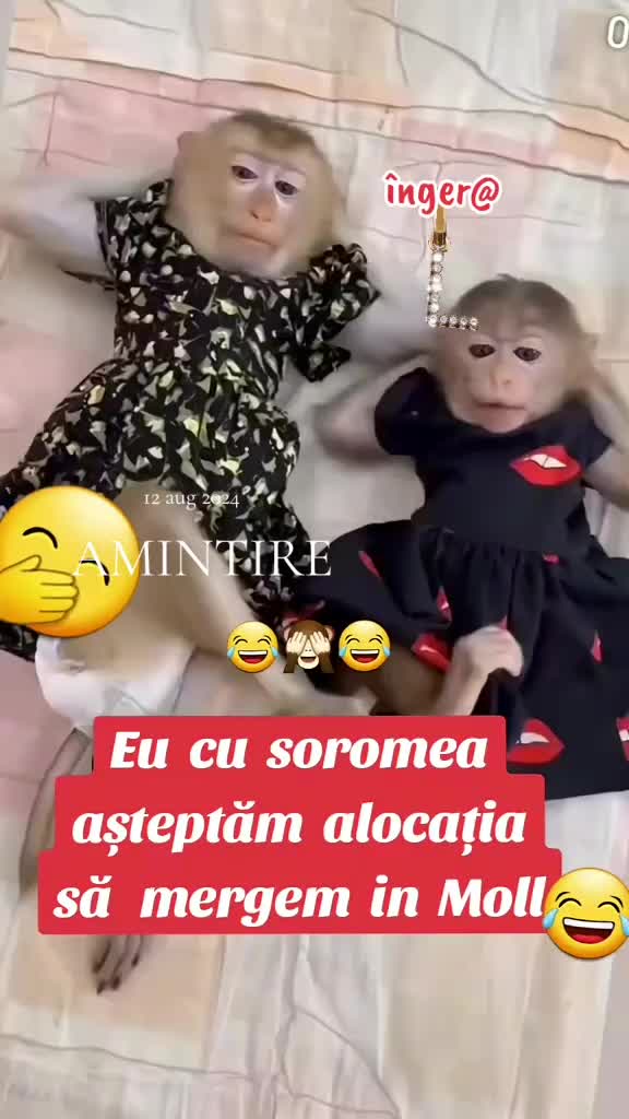 @înger