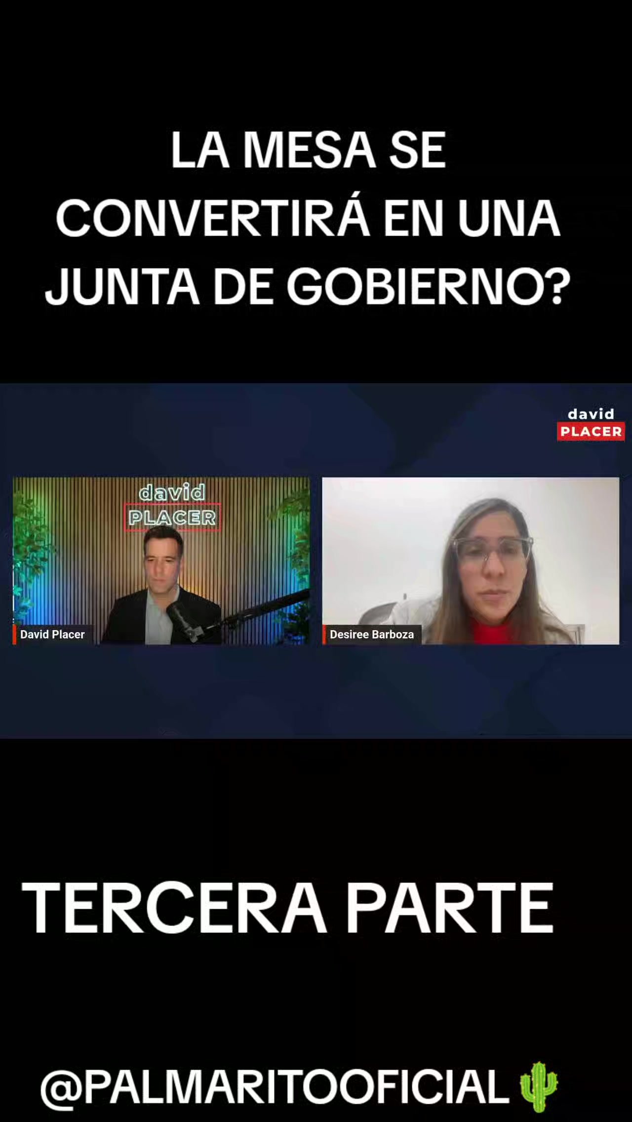 @PALMARITOOFICIAL 🌵