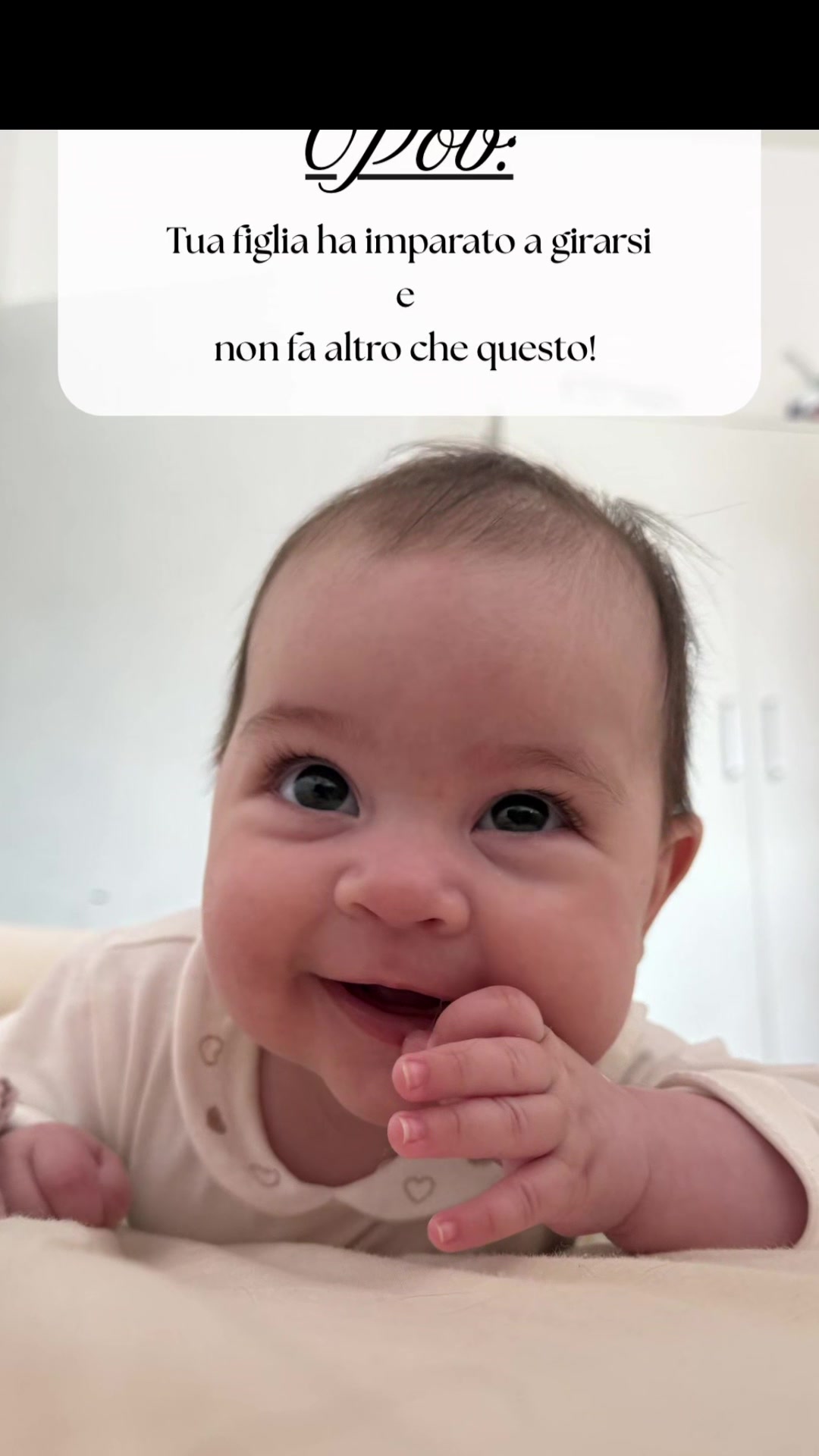 @Puppy’s Family