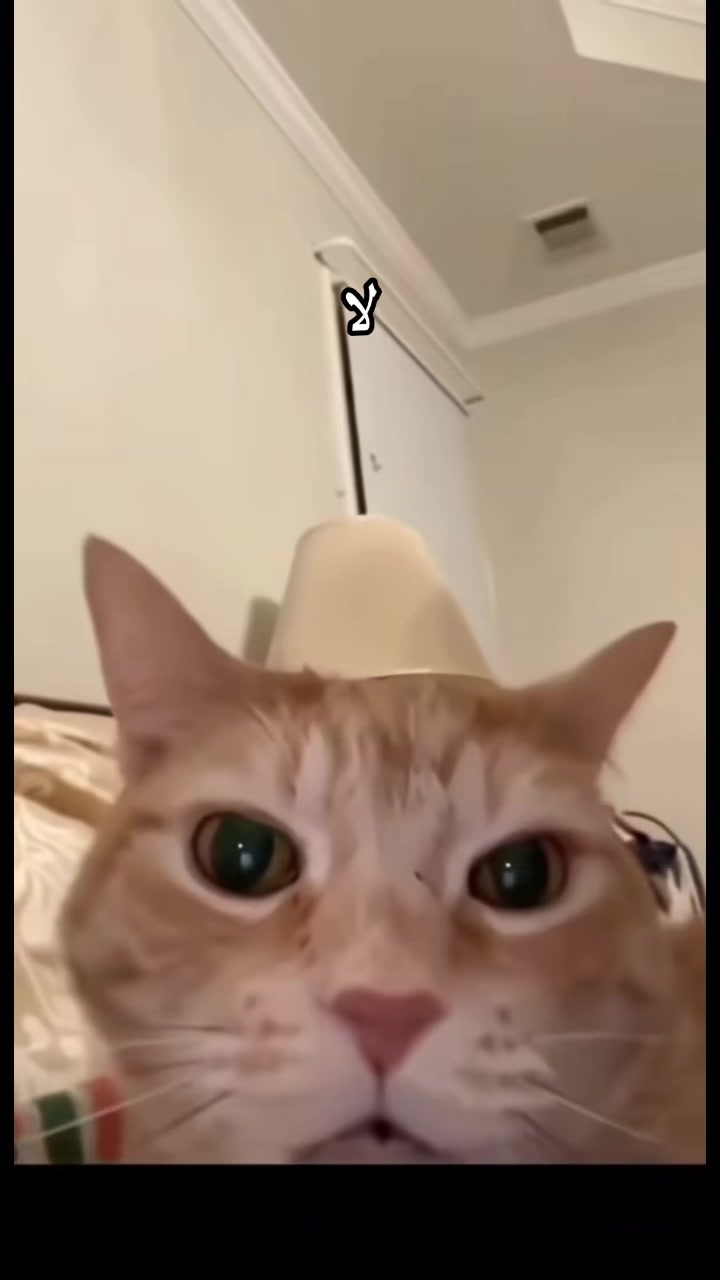 @اشخاص قد تعرفهم
