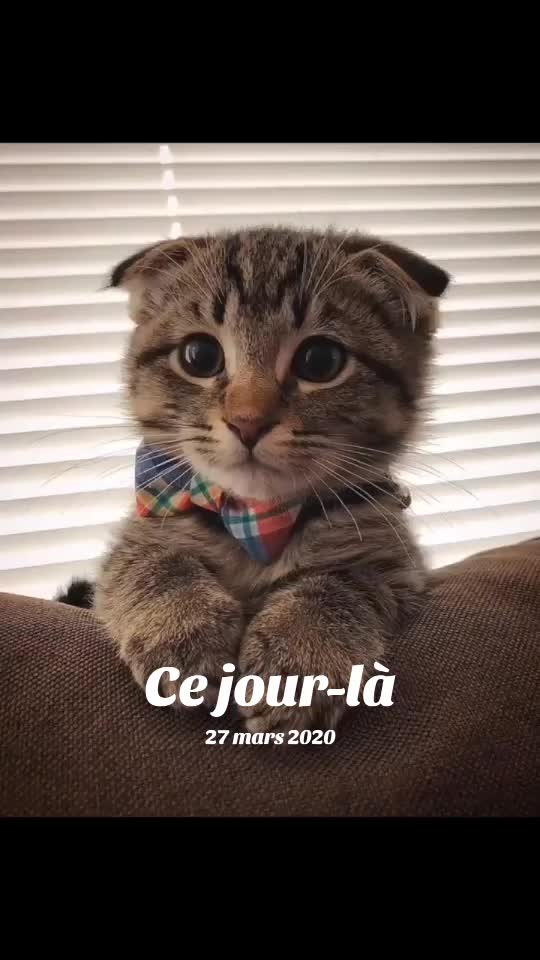 @benji2352
