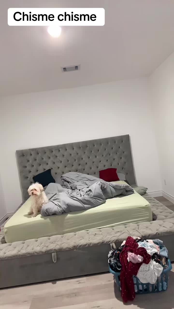 @lalalopez