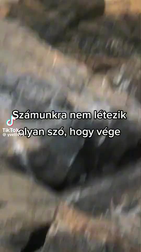 @marika