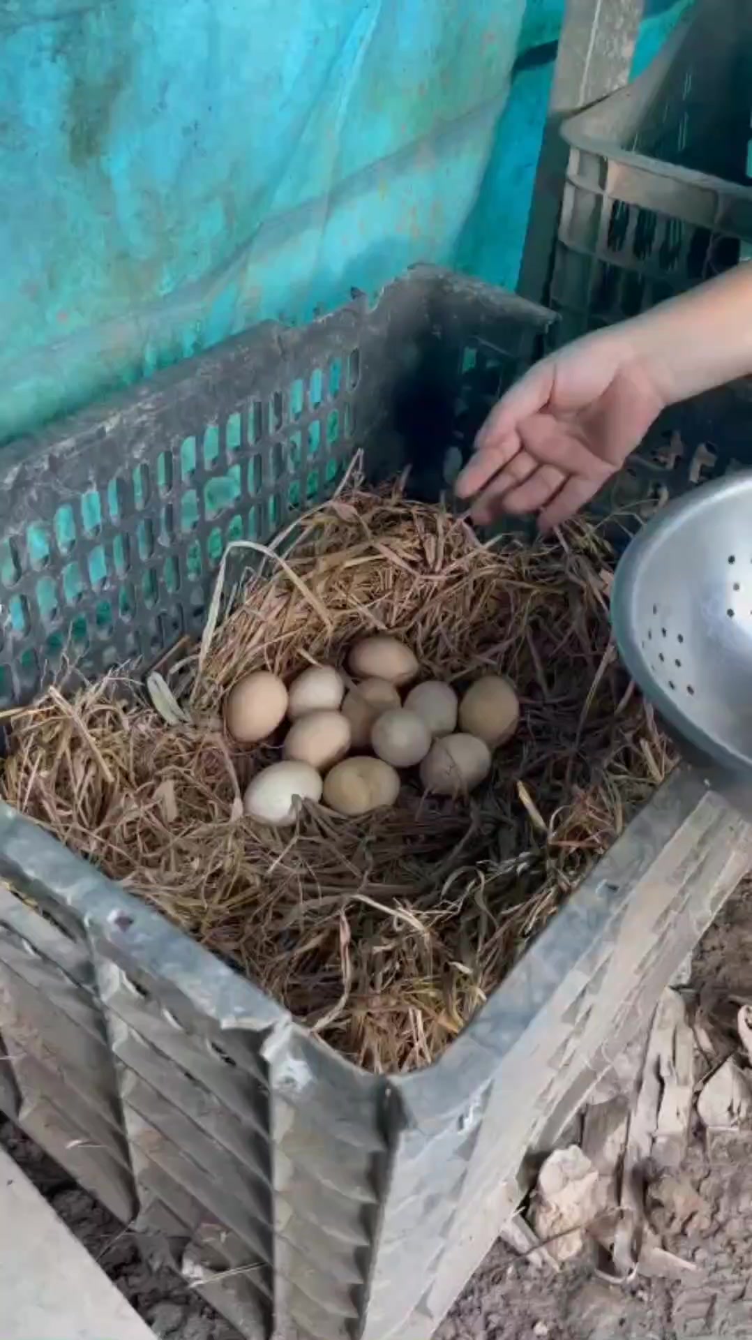 @Lộc Điền