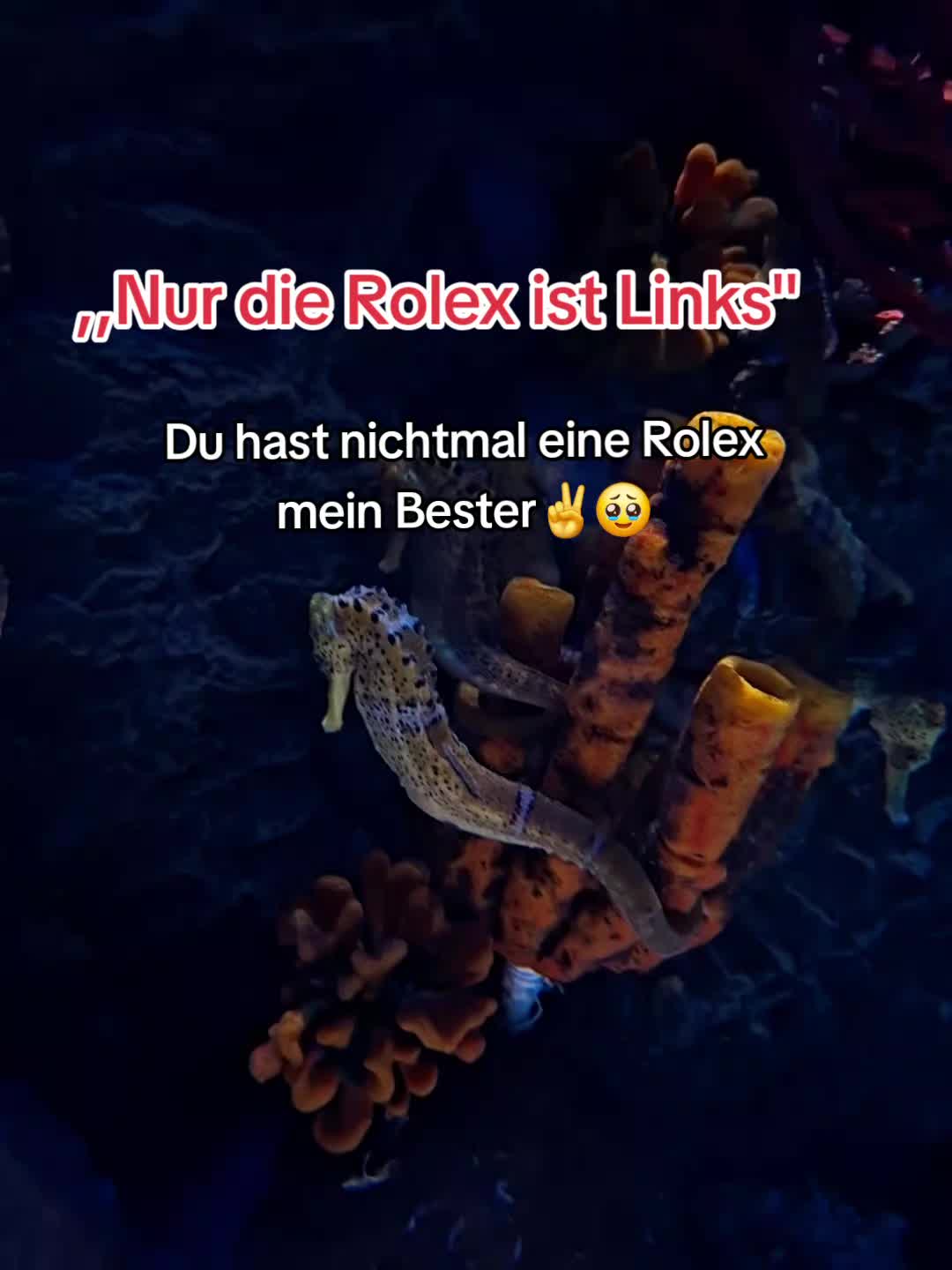 @Elias 🚩 ¹⁶¹